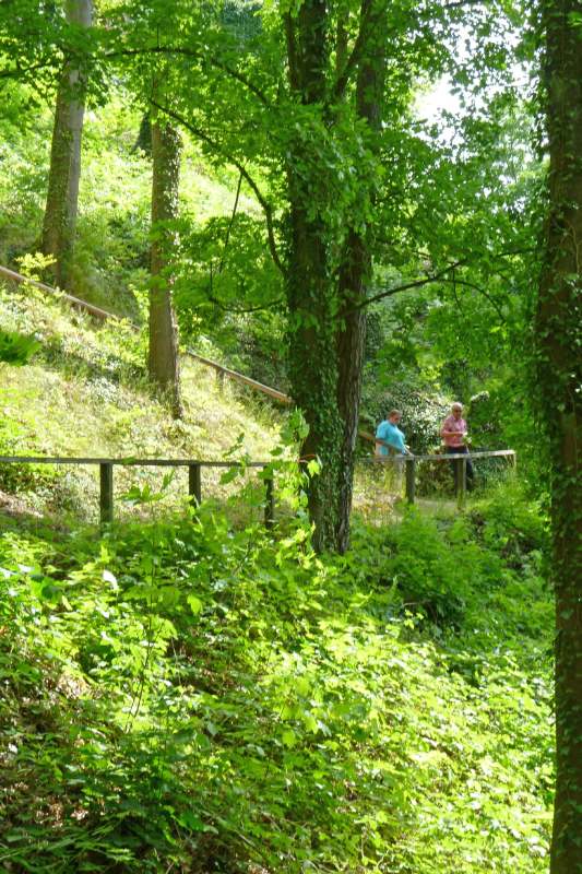 Neuschwanstein juni 2011 - 239